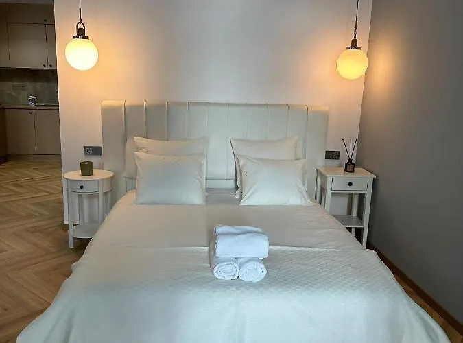 Daire Oyster Flat Victoriei *